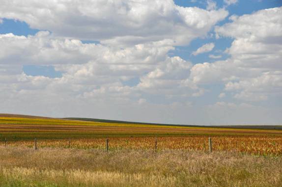 As lavouras deixam a paisagem colorida em South Dakota, nos Estados Unidos